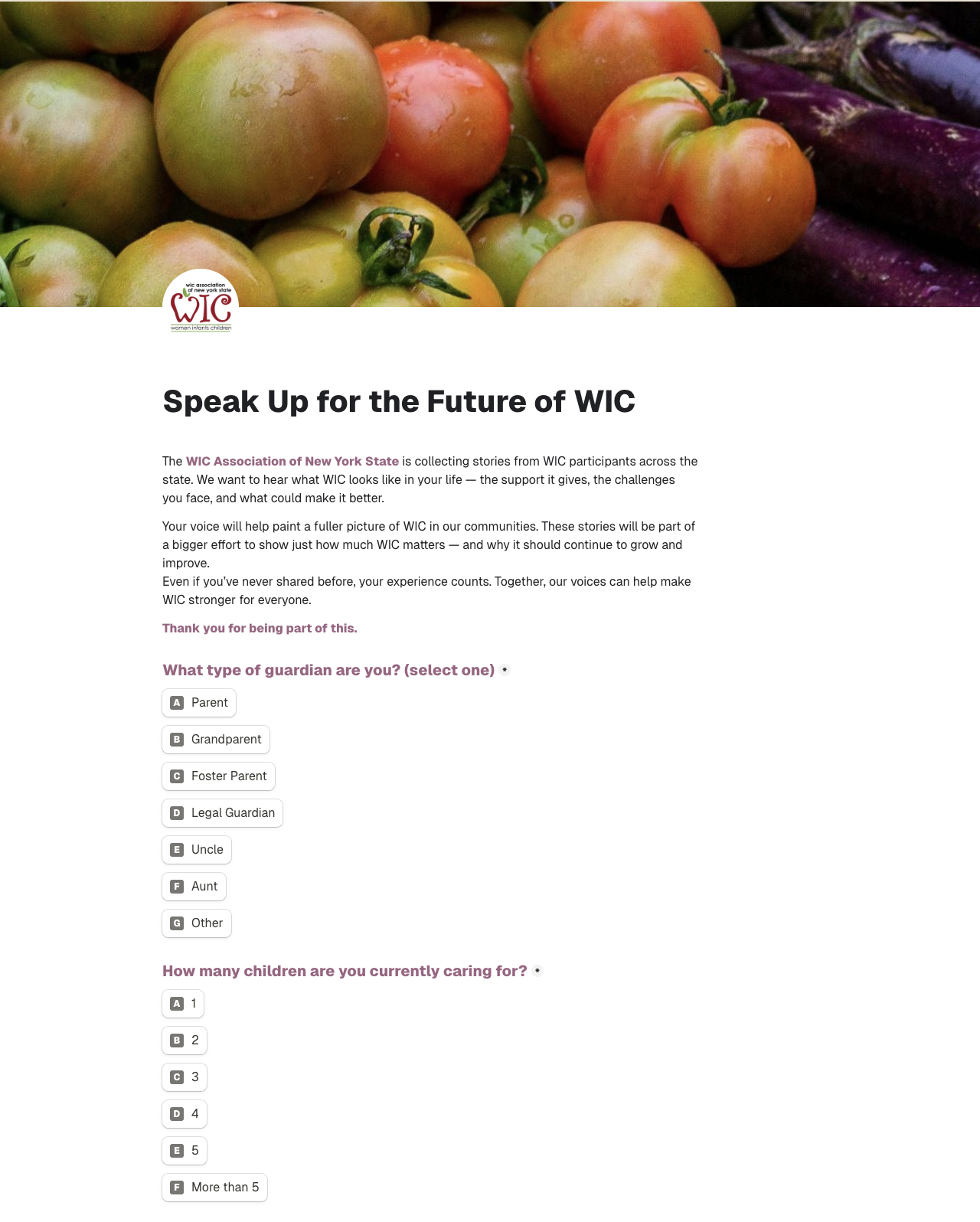 Survey Flow Mockups